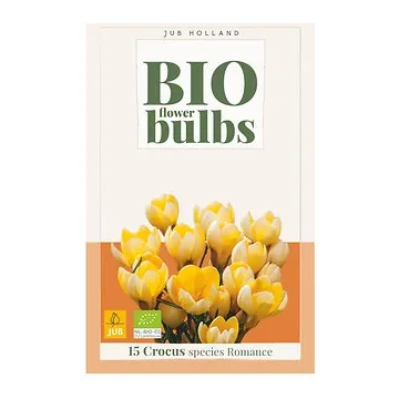 JUB Holland Crocus Species Romance 15 bollen