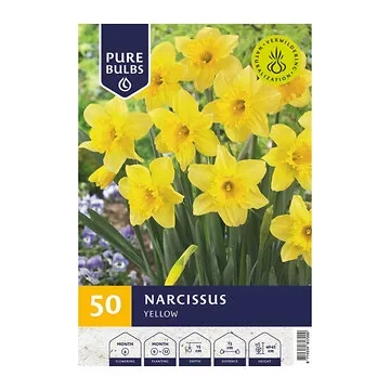 Pure Bulbs Narcissus Yellow 50 bollen