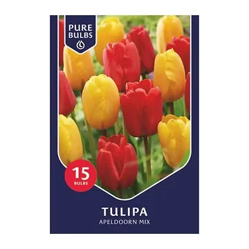 Pure Bulbs Tulipa Apeldoorn Mix 15 bollen