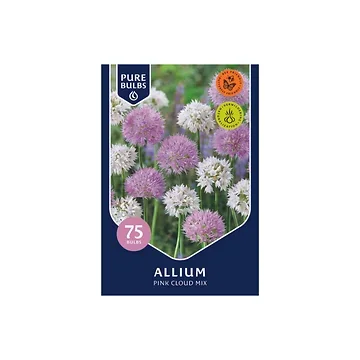 Pure Bulbs Allium Pink Cloud Mix 75 bollen
