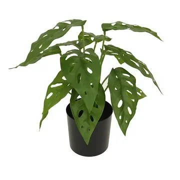 Kunstplant Monstera H 30 cm