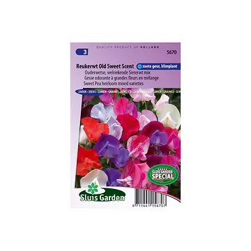 Lathyrus od. Grandifl. Old Sweet Scent