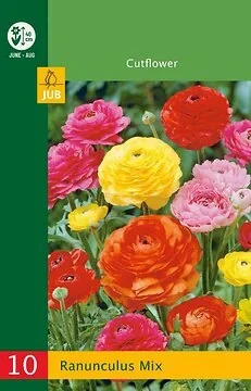 Low Budget Ranunculus Mix