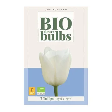 JUB Holland Tulipa Royal Virgin 7 bollen