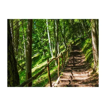 Anna's Collection Tuinposter Buitencanvas Houten Trap 58 x 78 cm