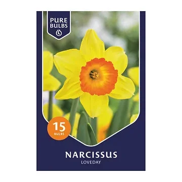 Pure Bulbs Narcissus Loveday 15 bollen