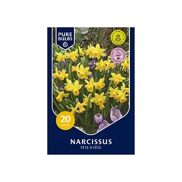 Pure Bulbs Narcissus Tête-à-Tête 20 bollen