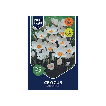 Pure Bulbs Crocus Ard Schenk 25 bollen