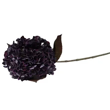 Hortensia paars 65 cm