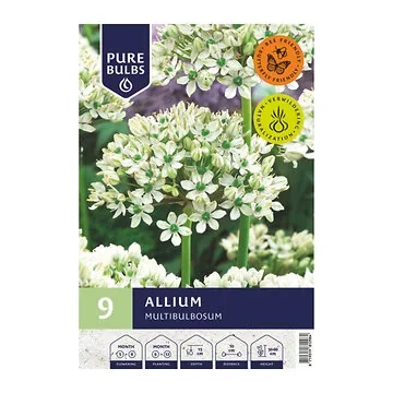 Pure Bulbs Allium Multibulbosum 9 bollen