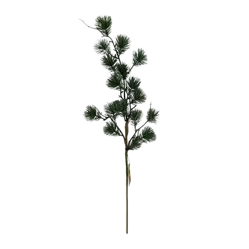 Tak Pinus Negishi 65 cm