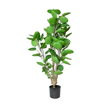 Kunstplant polyscias 110 cm