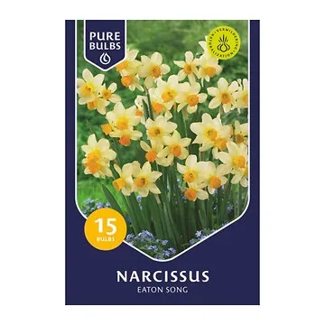 Pure Bulbs Narcissus Eaton Song 15 bollen