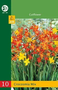 Low Budget Crocosmia Mix