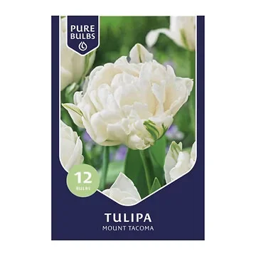 Pure Bulbs Tulipa Mount Tacoma 12 bollen