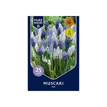 Pure Bulbs Muscari Mix 25 bollen