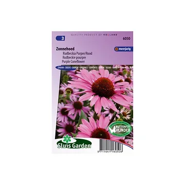 Rudbeckia purpurea (Echinacea)