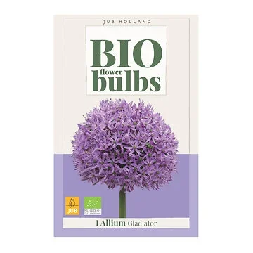 JUB Holland Allium Gladiator 1 bollen