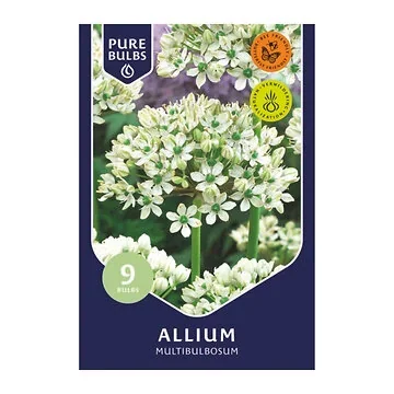 Pure Bulbs Allium Multibulbosum 9 bollen