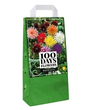 Draagtas 5 Dahlia Cactus Mix