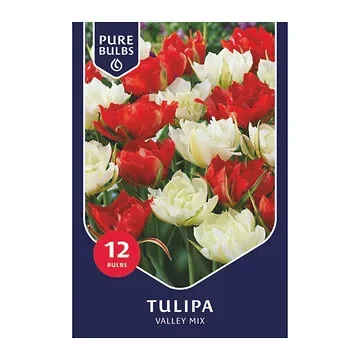 Pure Bulbs Tulipa Valley Mix 12 bollen