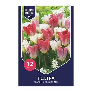 Pure Bulbs Tulipa Flaming Beauty Mix 12 bollen