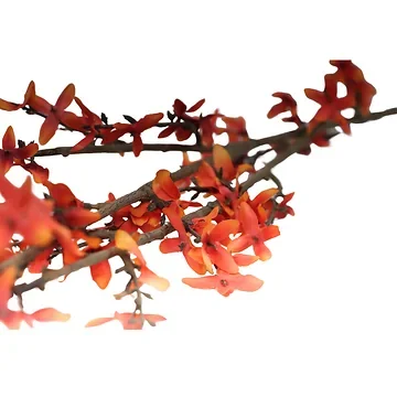 Chinees klokje oranje 113 cm