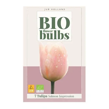 JUB Holland Tulipa Salmom Impression 7 bollen