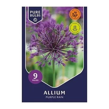 Pure Bulbs Bloembollen Sierui (Allium 'Purple Rain') 9 stuks