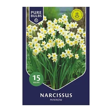 Pure Bulbs Narcissus Minnow 15 bollen