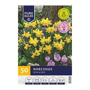 Pure Bulbs Narcissus Tête-à-Tête 50 bollen