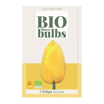JUB Holland Tulipa Novi Sun 7 bollen