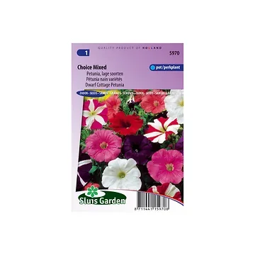 Petunia multiflora hybrida n.c. Mixed