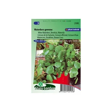 Waterkers Gewone Nasturtium officinale
