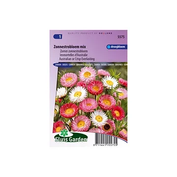 Helipterum roseum Giantfl. Mix