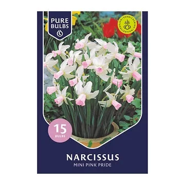 Pure Bulbs Narcissus Mini Pink Pride 15 bollen