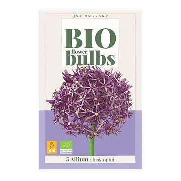 JUB Holland Allium Christophii 5 bollen