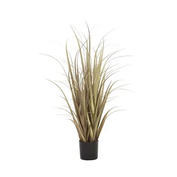 Pluimgras 90 cm naturel