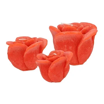 Rooskaars Orange 8 x 7 cm