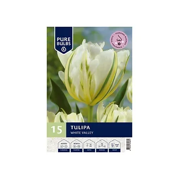 Pure Bulbs Tulipa White Valley 12 bollen