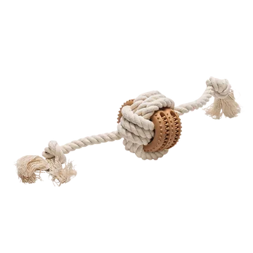 Beeztees Hondenspeelgoed Puppy Dental Speeltouw Fem 30 x 8.8 x 8.8 cm