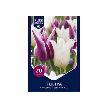 Pure Bulbs Tulipa Graceful & Elegant Mix 15 bollen
