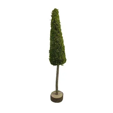 Boom op stam mos 12 x 70 cm