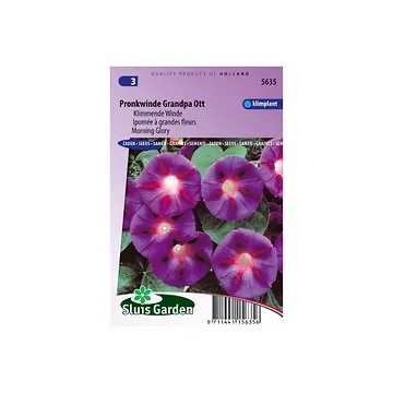Ipomoea tricolor Grandpa Ott