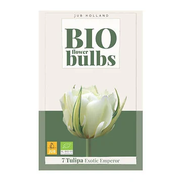 JUB Holland Tulipa Exotic Emperior 7 bollen