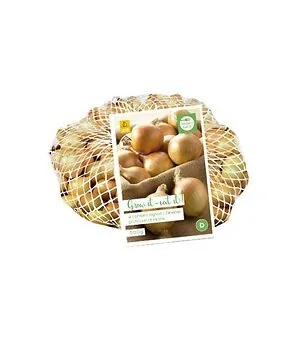 Plantuien Stuttgarter Riesen 500 gram