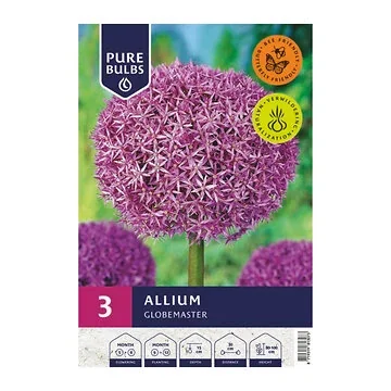 Pure Bulbs Allium Globemaster 3 bollen