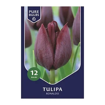 Pure Bulbs Tulipa Ronaldo 12 bollen