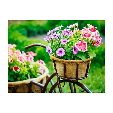 Anna's Collection Tuinposter Buitencanvas Fiets met Bloemen 58 x 78 cm