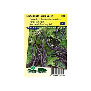 Stamslaboon Purple Queen
